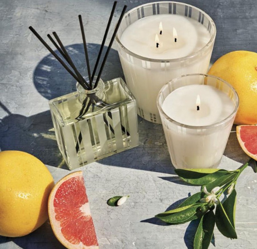 Jewelry + Accessories NEST Candles & Diffusers | Nest Classic Candle 8 Oz. Grapefruit
