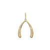 Jewelry + Accessories Jane Win Necklaces | Lucky Pave Wishbone 18-20" Adjustable Chain