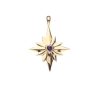 Jewelry + Accessories Jane Win Necklaces | Forever Make A Wish Birthstone Star February 16-18" Satellite